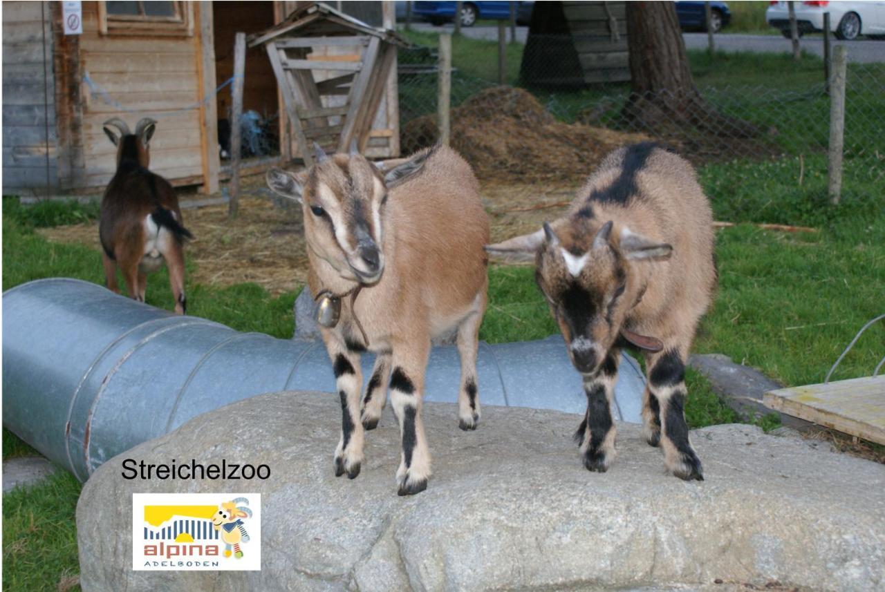 Ferien- Und Familienhotel Alpina Adelboden Zewnętrze zdjęcie