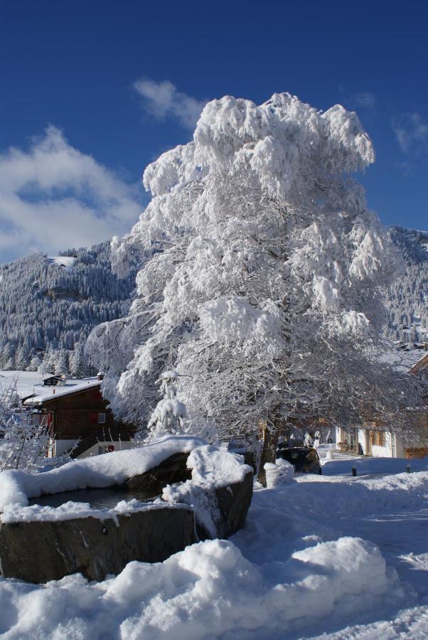 Ferien- Und Familienhotel Alpina Adelboden Zewnętrze zdjęcie